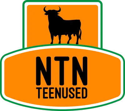 NTN Teenused OÜ
